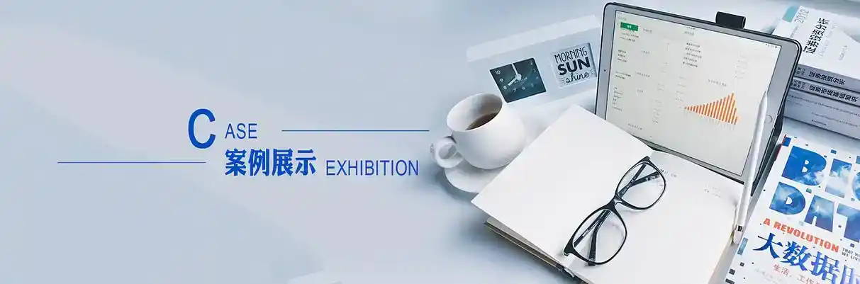 内蒙古软件开发